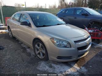 CHEVROLET MALIBU 1LT