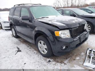 FORD ESCAPE XLT