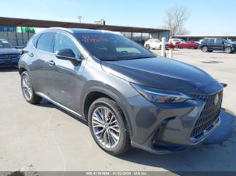 LEXUS NX 350H PREMIUM