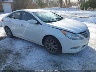 HYUNDAI SONATA SE/LIMITED