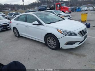 HYUNDAI SONATA SPORT/LIMITED