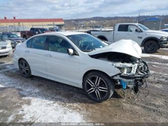 HONDA ACCORD SPORT SE