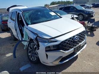 HYUNDAI SANTA FE CALLIGRAPHY