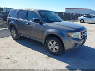 FORD ESCAPE XLS