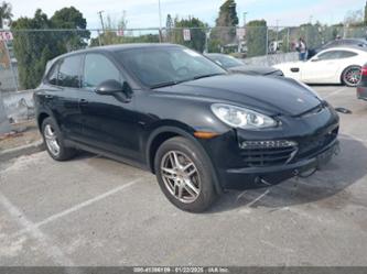 PORSCHE CAYENNE DIESEL/DIESEL PLATINUM EDITION