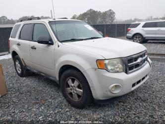 FORD ESCAPE XLT