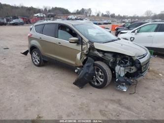 FORD ESCAPE SEL