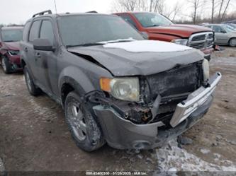 FORD ESCAPE XLT