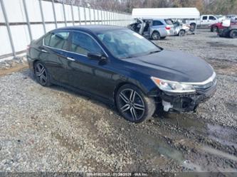 HONDA ACCORD SPORT SE