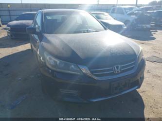 HONDA ACCORD SPORT