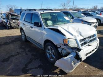 FORD ESCAPE XLT