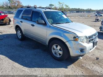 FORD ESCAPE XLT