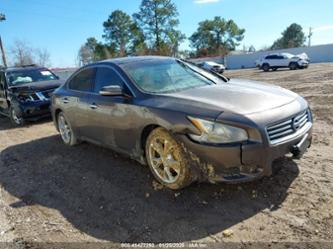 NISSAN MAXIMA 3.5 SV