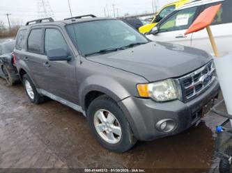 FORD ESCAPE XLT