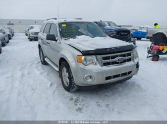 FORD ESCAPE XLT