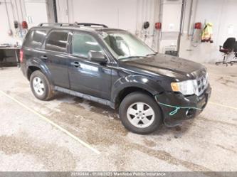 FORD ESCAPE XLT