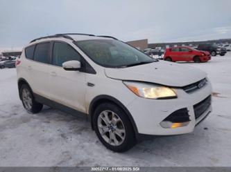 FORD ESCAPE SEL