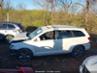 DODGE JOURNEY CROSSROAD PLUS