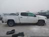 CHEVROLET COLORADO WT