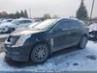 CADILLAC SRX LUXURY COLLECTION