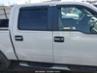 FORD F-150 FX4/HARLEY-DAVIDSON/KING RANCH/LARIAT/PLATINUM/XL/XLT