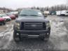 FORD F-150 FX4/HARLEY-DAVIDSON/KING RANCH/LARIAT/PLATINUM/XL/XLT