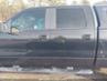 FORD F-150 FX4/HARLEY-DAVIDSON/KING RANCH/LARIAT/PLATINUM/XL/XLT