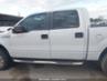 FORD F-150 FX4/HARLEY-DAVIDSON/KING RANCH/LARIAT/PLATINUM/XL/XLT