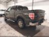 FORD F-150 FX4/HARLEY-DAVIDSON/KING RANCH/LARIAT/PLATINUM/XL/XLT