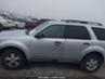 FORD ESCAPE XLT