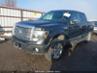 FORD F-150 FX4/HARLEY-DAVIDSON/KING RANCH/LARIAT/PLATINUM/XL/XLT