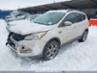 FORD ESCAPE SEL