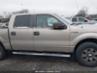 FORD F-150 FX4/HARLEY-DAVIDSON/KING RANCH/LARIAT/PLATINUM/XL/XLT