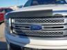 FORD F-150 PLATINUM