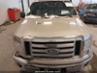 FORD F-150 FX4/HARLEY-DAVIDSON/KING RANCH/LARIAT/PLATINUM/XL/XLT