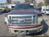 FORD F-150 FX4/HARLEY-DAVIDSON/KING RANCH/LARIAT/PLATINUM/XL/XLT