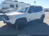 JEEP RENEGADE TRAILHAWK 4X4